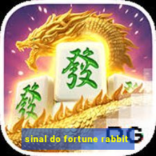 sinal do fortune rabbit