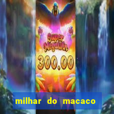 milhar do macaco que mais saem no jogo do bicho