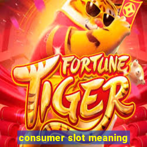 consumer slot meaning