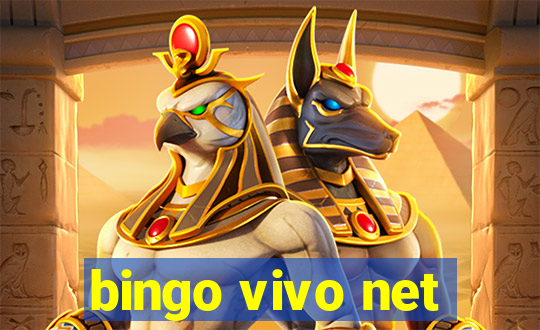 bingo vivo net