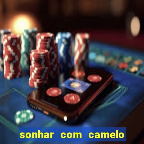 sonhar com camelo número mega sena