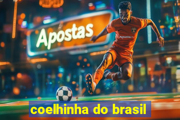 coelhinha do brasil