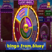 bingo from bluey