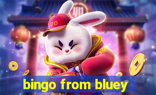 bingo from bluey