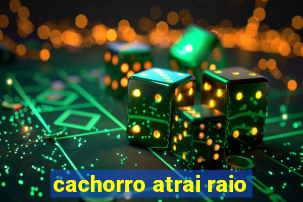 cachorro atrai raio