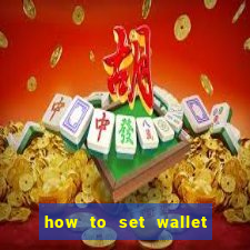 how to set wallet password in bingo plus