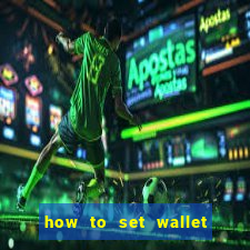 how to set wallet password in bingo plus