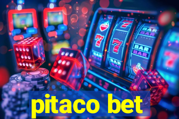 pitaco bet