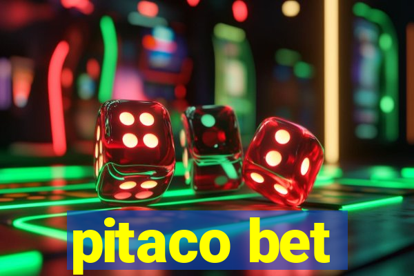 pitaco bet