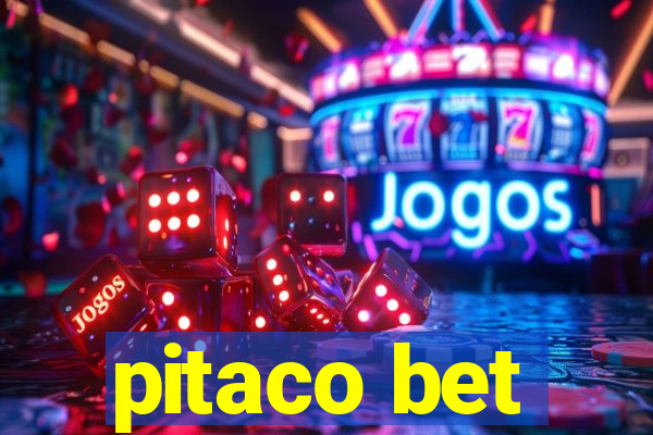 pitaco bet