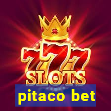 pitaco bet