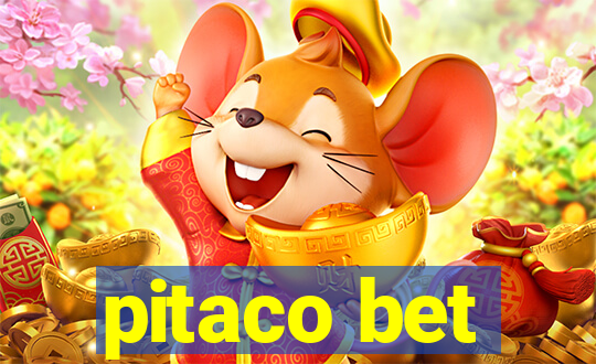 pitaco bet