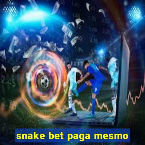 snake bet paga mesmo