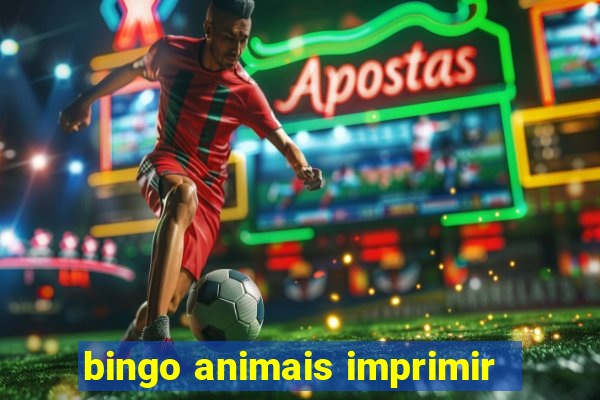 bingo animais imprimir