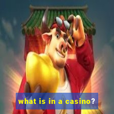 what is in a casino?