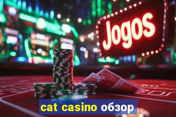 cat casino обзор