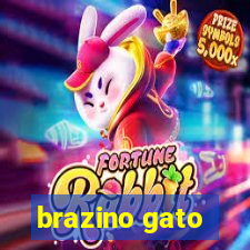 brazino gato