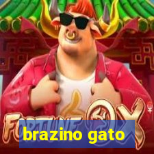 brazino gato