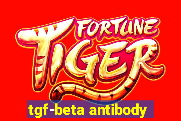 tgf-beta antibody