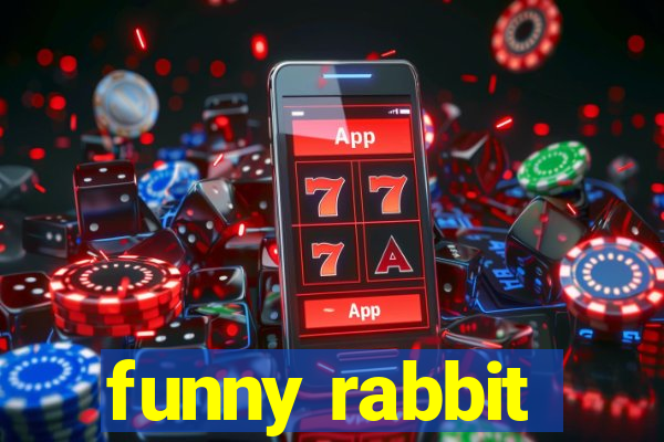 funny rabbit