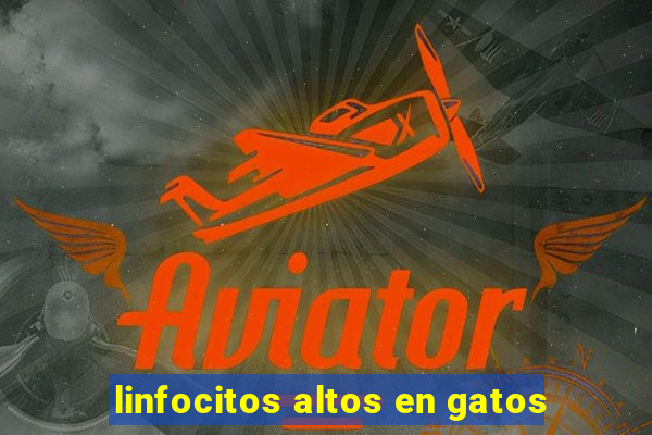 linfocitos altos en gatos