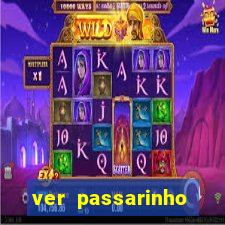 ver passarinho morto significado