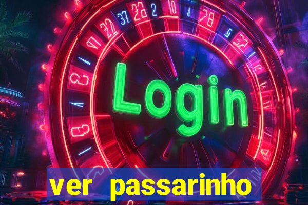 ver passarinho morto significado