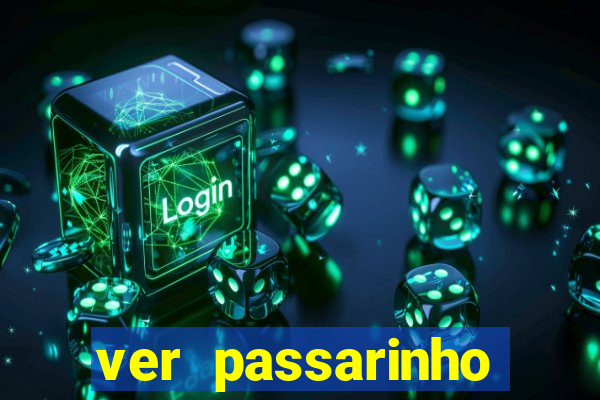 ver passarinho morto significado