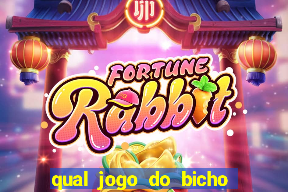 qual jogo do bicho paga mais