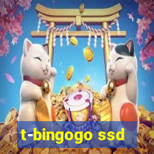 t-bingogo ssd