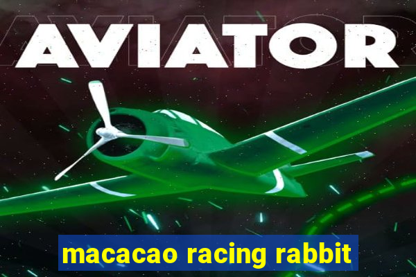 macacao racing rabbit