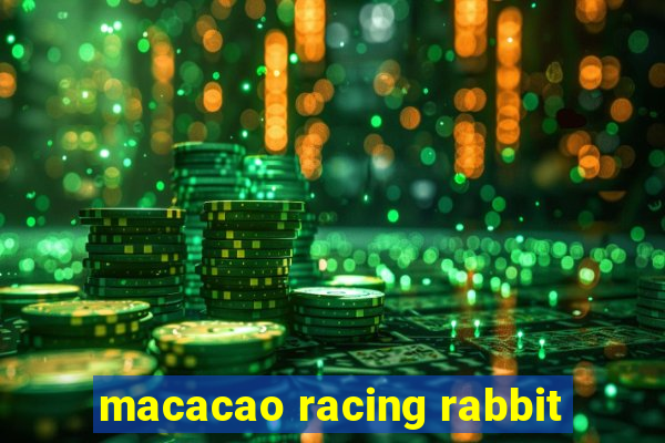 macacao racing rabbit