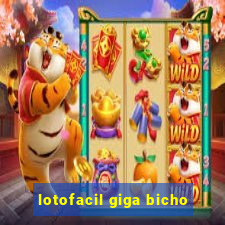 lotofacil giga bicho