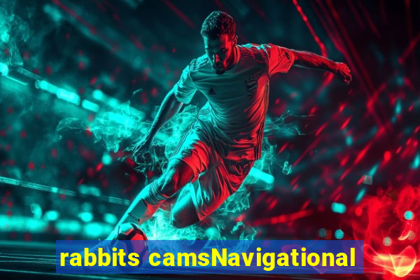 rabbits camsNavigational