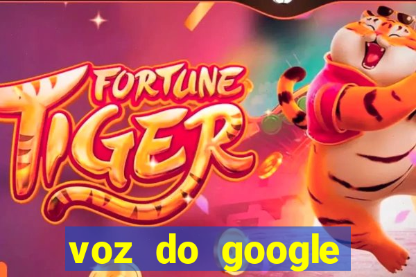 voz do google tradutor homem