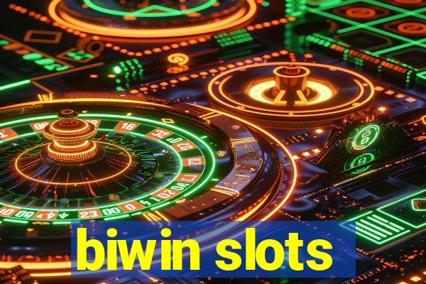 biwin slots