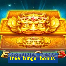 free bingo bonus money no deposit required