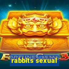 rabbits sexual