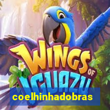 coelhinhadobrasil