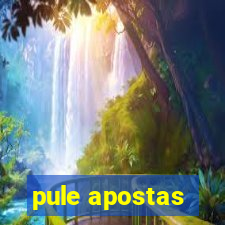 pule apostas