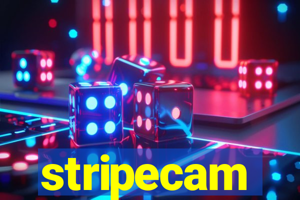 stripecam