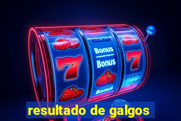 resultado de galgos