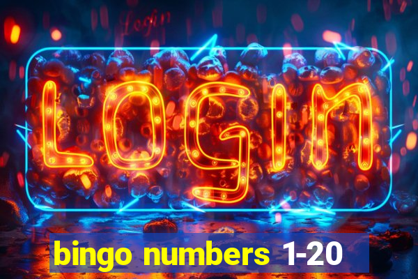 bingo numbers 1-20