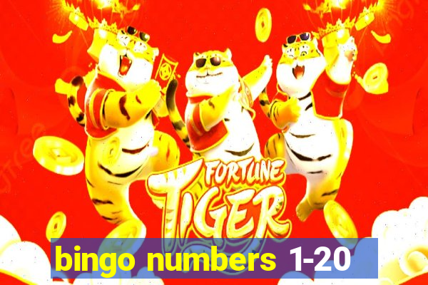 bingo numbers 1-20