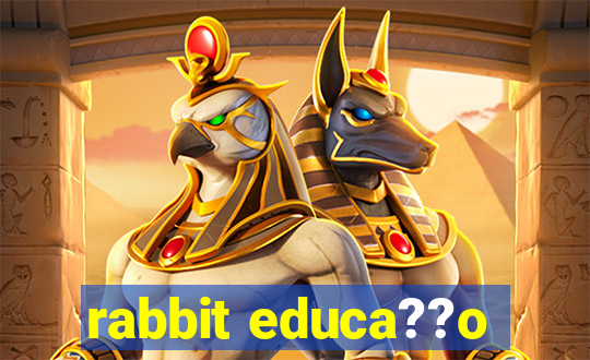 rabbit educa??o