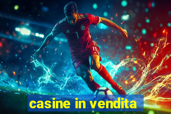 casine in vendita