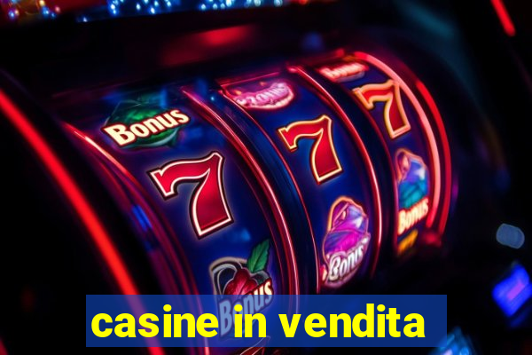 casine in vendita