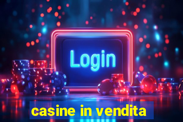 casine in vendita