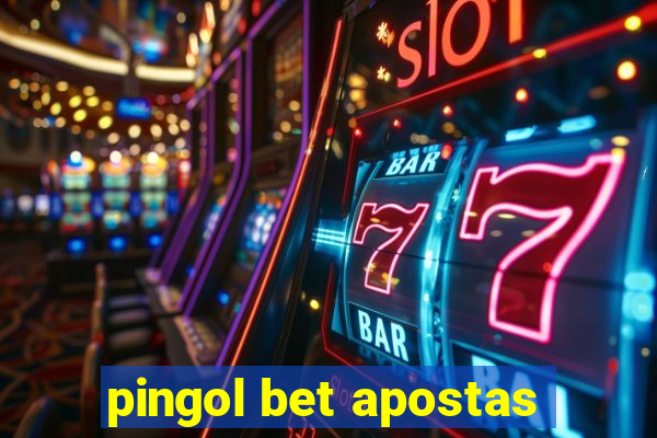 pingol bet apostas