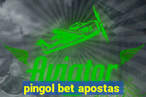 pingol bet apostas